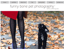 Tablet Screenshot of funnybone.us